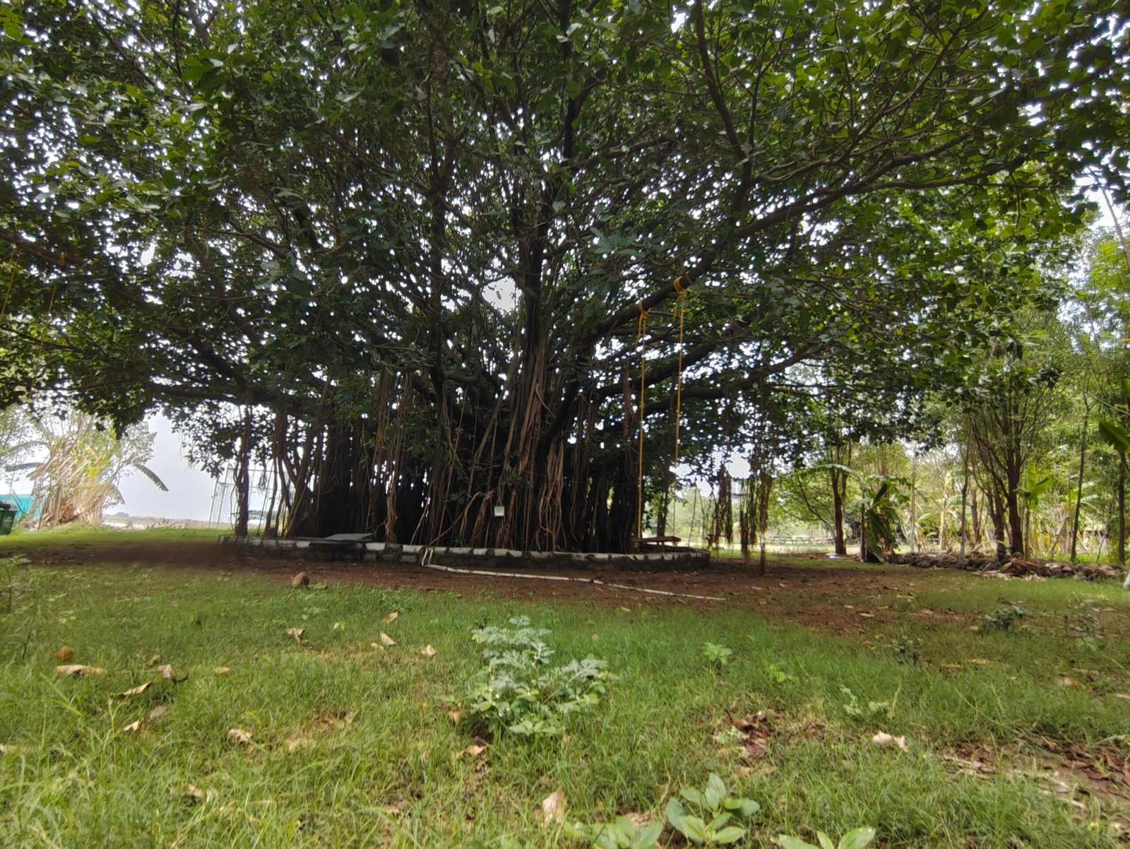 Royal adventure lake view camping